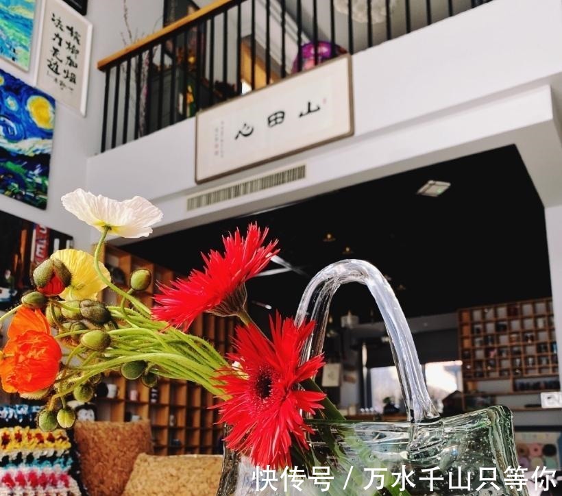 毛毯|《向往》女嘉賓凌晨四點才睡，做了一件讓何炅很感動的事