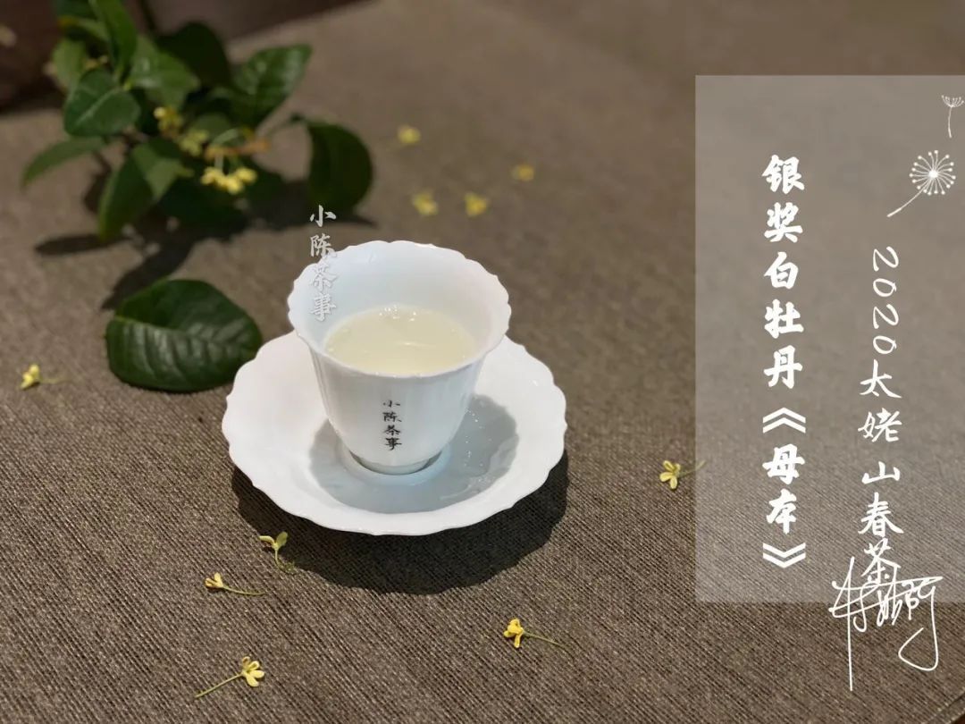 因素|白牡丹喝出了白毫银针的感觉,抛开等级的因素,良好的储存是关键