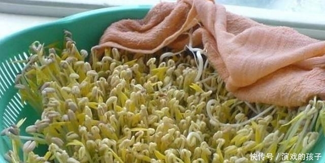 农村人都当垃圾的东西,城里人竟拿来种花,比营养土更好用!