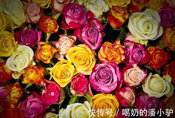 人大气|腊月二十三以后,事业发展春风得意,前途无量的生肖