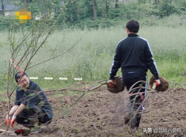 《向往的生活5》出現(xiàn)最煩人嘉賓,何炅不留情面,黃磊難掩嫌棄