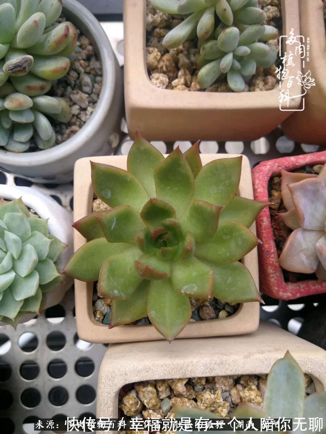 爱这一片缤纷的色彩，因为我们都是好色之徒！