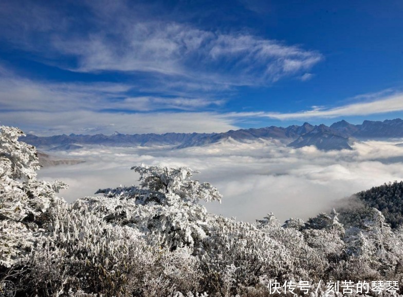 四川有一座高山，不仅是360°观景台，还能近距离接触云海！