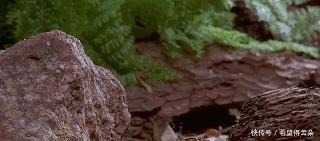 冬日,细火慢炖好时光