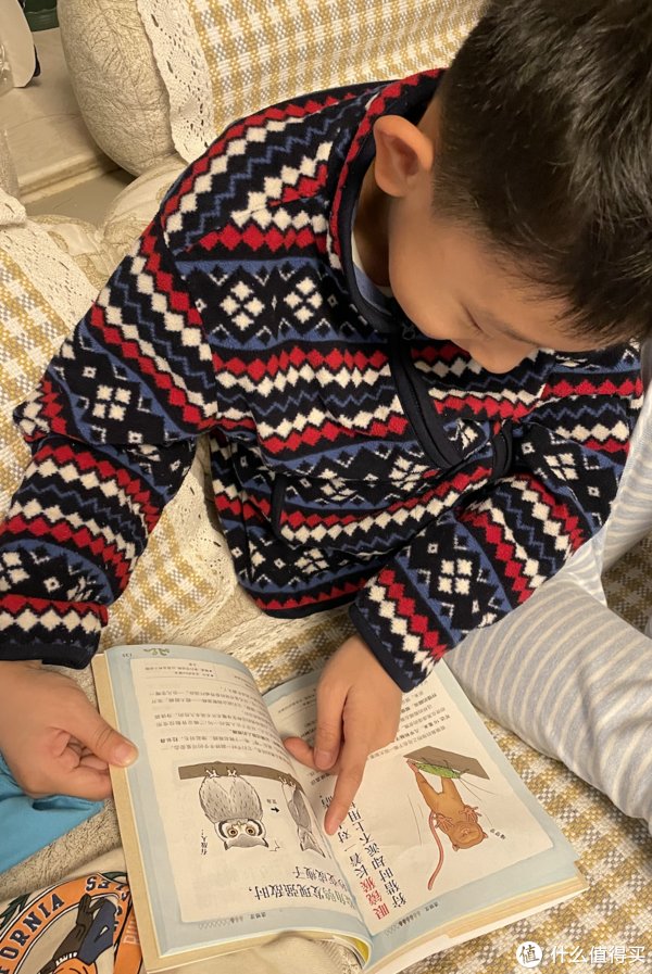 王羲之$成长的书柜 篇三十二:【双11童书值得买】精选10本/套小学生课外书单(拒绝云评)