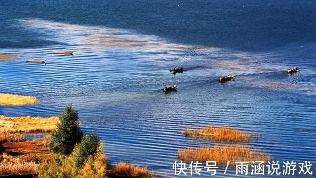 枯黄树叶|「泸沽湖」陷入泸沽湖的秋日温柔