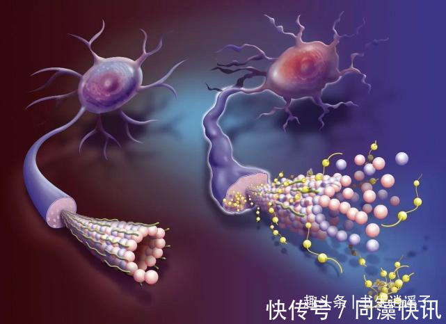 35个冷知识教科书上不会出现，但却真实存在于世界各地