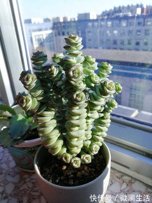 4个擦玻璃的小妙招，只要记住一个，玻璃就能光亮如新