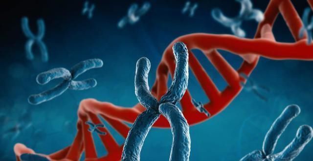 NT|NT检查是孕检方式,你知道染色体和NT有关系吗?