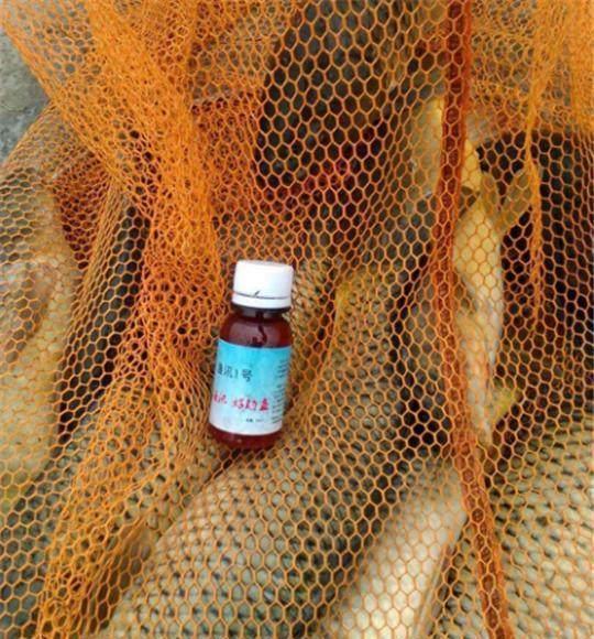 野钓秘方窝料、饵料配方大揭秘,可以让你的鱼获翻倍哦