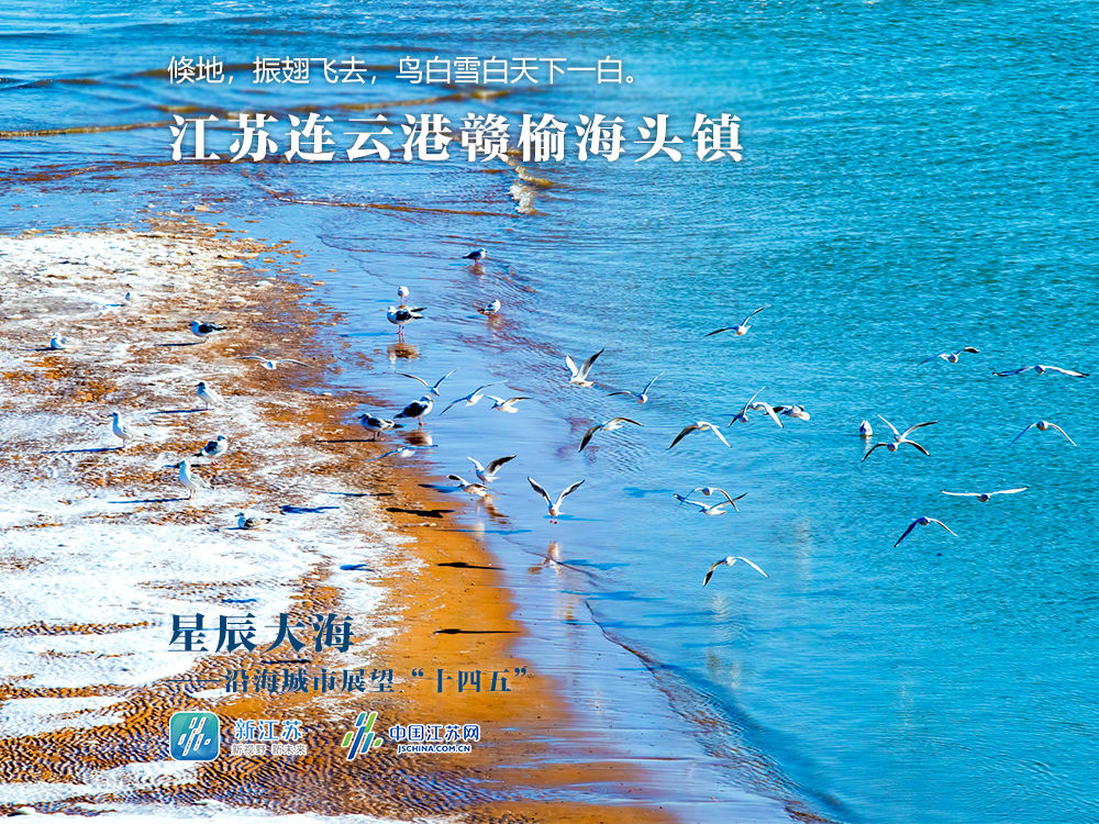 明信片！星辰大海｜新时代，这是江苏大海寄给你的蓝色明信片