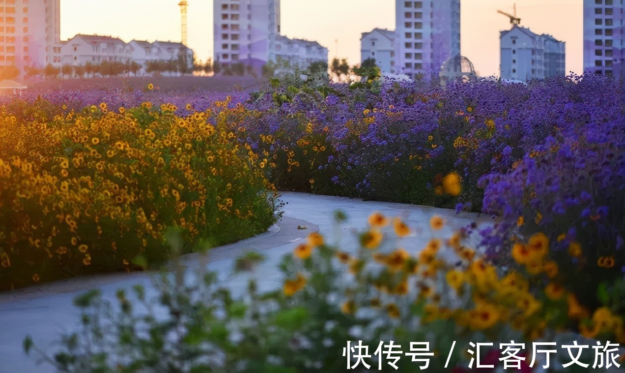 胡杨林|这个低调的西北省份，囊括了大半个中国的精华美景！