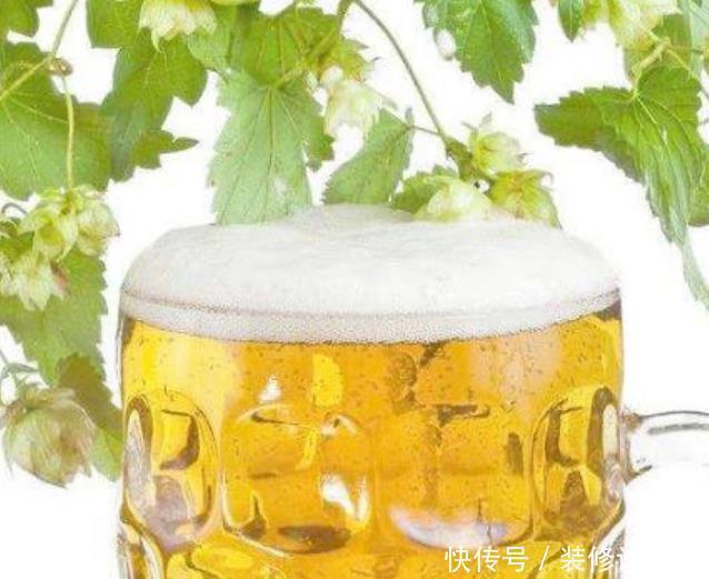 养花盆土易板结,学会3个方法,土壤疏松透气又营养,花卉长得旺