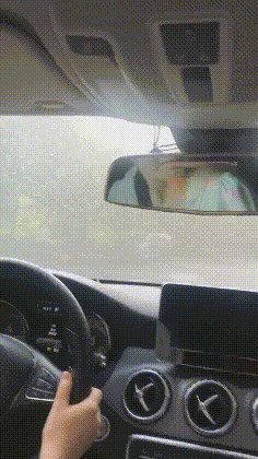 |搞笑GIF:我是家里的独生子,那些钱,早晚是我的!