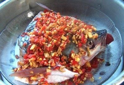 开始做清蒸鱼的话，它的肉质会变的回缩，大家一定要记得规避