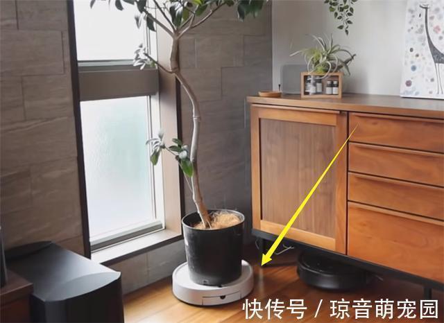 清洁|无印良品5样实用好物推荐!若不差这点钱,是真的非常值得买