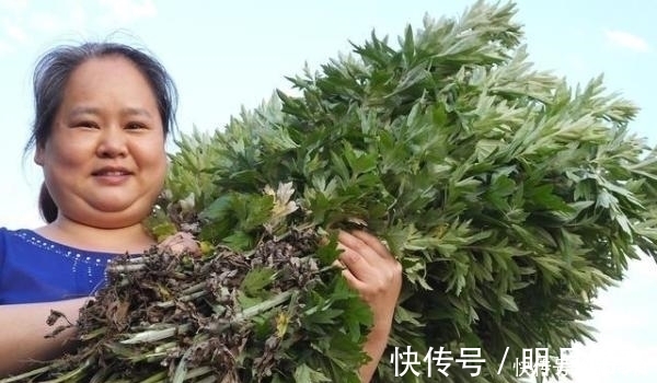 床上螨虫太多?教你3个不要钱的“土法子”, 把螨虫“赶尽杀绝”