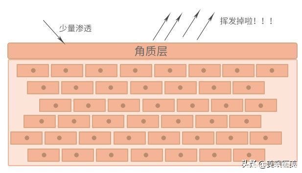 皮脂|揭秘护肤谎言！关于皮肤的10个真相，你需要了解