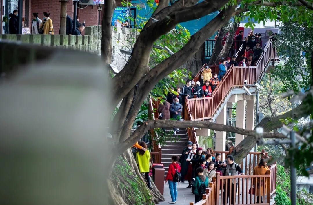 中年|在吗?“原年人”