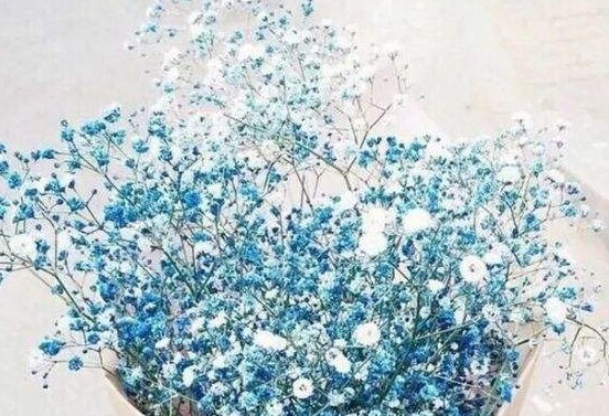 此款花卉，四季常开，繁花似锦，花朵清新高雅，花色迷人又艳丽