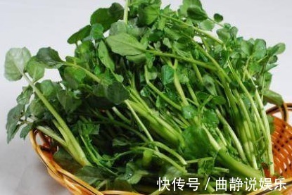 西洋菜|入秋后每周吃一次此物,化痰又润肺,常吃身体好!