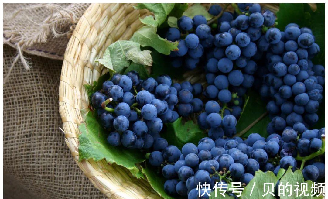 疾病|入冬养得好,疾病不来找!照着吃,安神润燥养五脏,全身都受补!