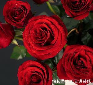 6种耐寒花，好看好打理，年年花满枝头，值得拥有！