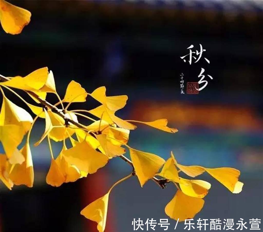 多喝|秋分时节,喝梨汤不如喝它,我家每周煮2回,经常上火的人多喝点