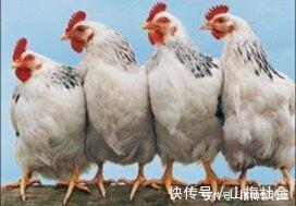 鸡蛋|早晨吃鸡蛋,要避开这三个误区,长期吃错危害大