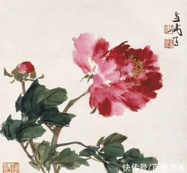 小写意|唯有牡丹真国色!小写意牡丹画150幅,美醉了