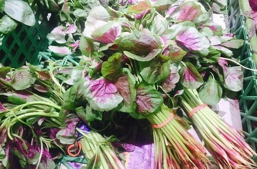 b2|冬天来了,多吃以下3种食物,营养丰富,润肠通便,好处多多!