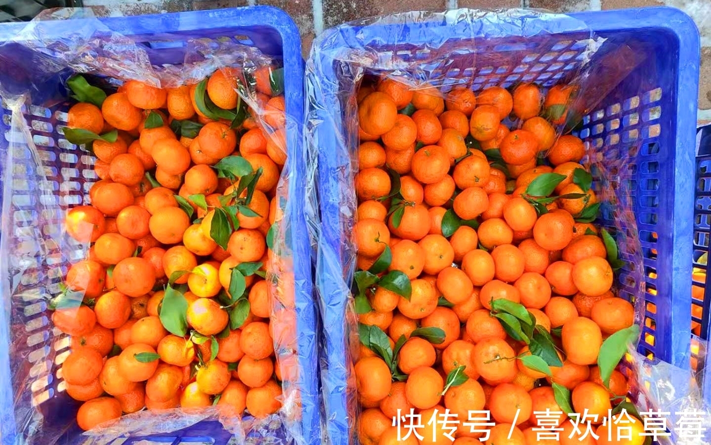 穷富!正月里来走亲戚,不管穷富,记得礼物“4送3不送”,寓意虎年吉祥