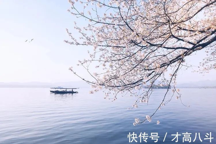 江月@100首春天唯美古诗词(值得收藏)