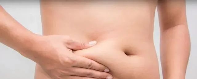 间歇性|3种饮食方法，减掉肚子上“顽固脂肪”