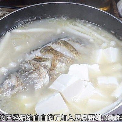 桂鱼|奶白桂鱼汤汤如牛奶白鱼肉刺少肉质鲜美