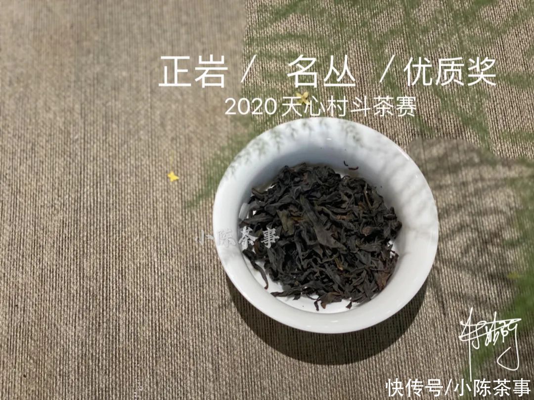  岩茶|一口气喝到正岩茶村的名丛金、银、优质获奖茶，是什么样的体验？