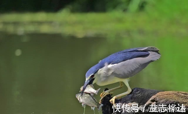 人生|星云大师人生智慧：三观不合，不相为友，有3种人不适合深交！