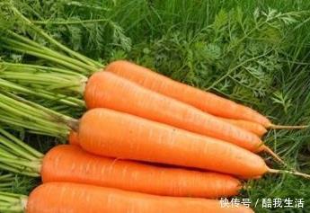 琥珀酸钾盐|胡萝卜和此物一起煮,大肚腩消失了,失眠好了,为了健康了解下