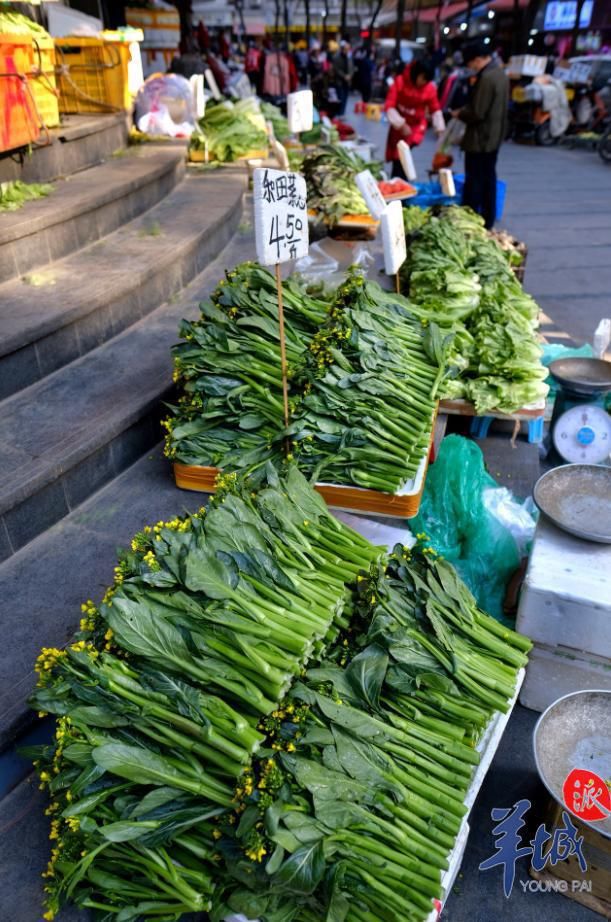  逛逛广州菜市场，闻闻市井烟火味