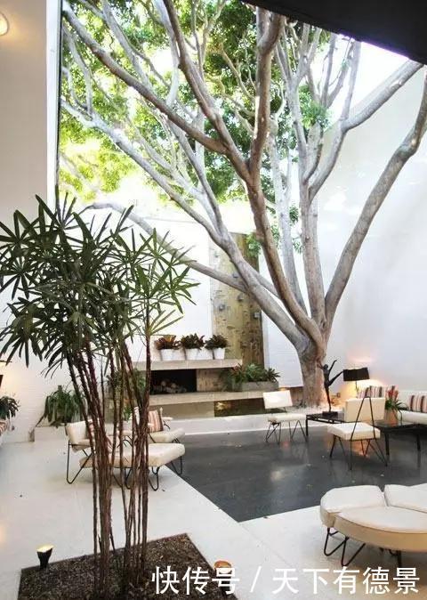 庭院,也需要断舍离