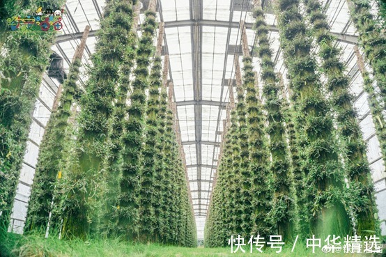 到底发生了什么,让范丞丞直呼 “温州铁定溜溜太可怕了”?!