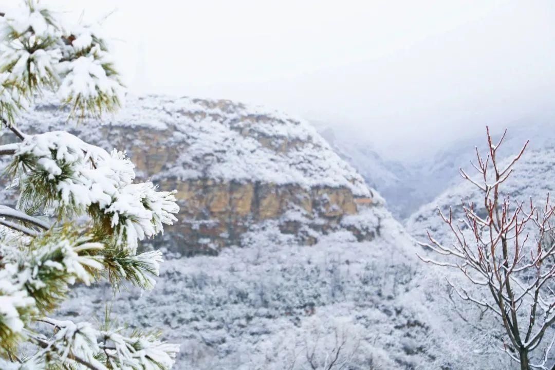 【大美房山】赏！大安山春雪水墨画