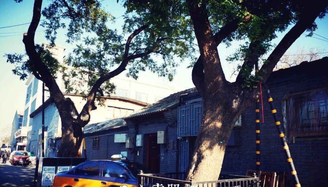 镜头|重拍北京旧日遗存,透过现实的镜头了解逝去的历史——新街口周边