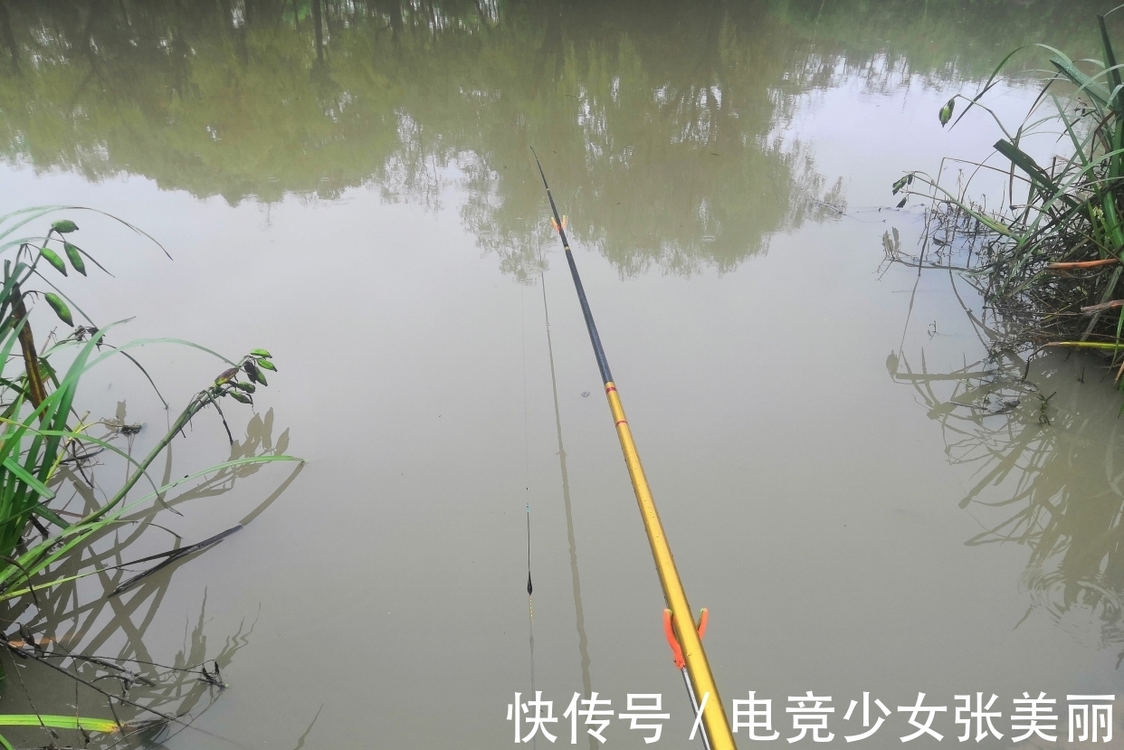 钓友|老钓友经验之谈:4种情况下，调高目比调平水更实用