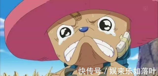 海贼王|海贼王草帽团职业配置,你还期待哪个人上船加洛特上船呼声很高