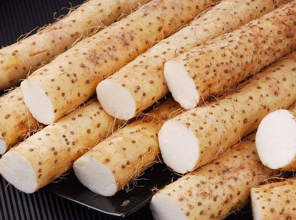 免疫力|补气是“提高免疫力”的最快妙招,一味食物,补气御寒做给家人吃