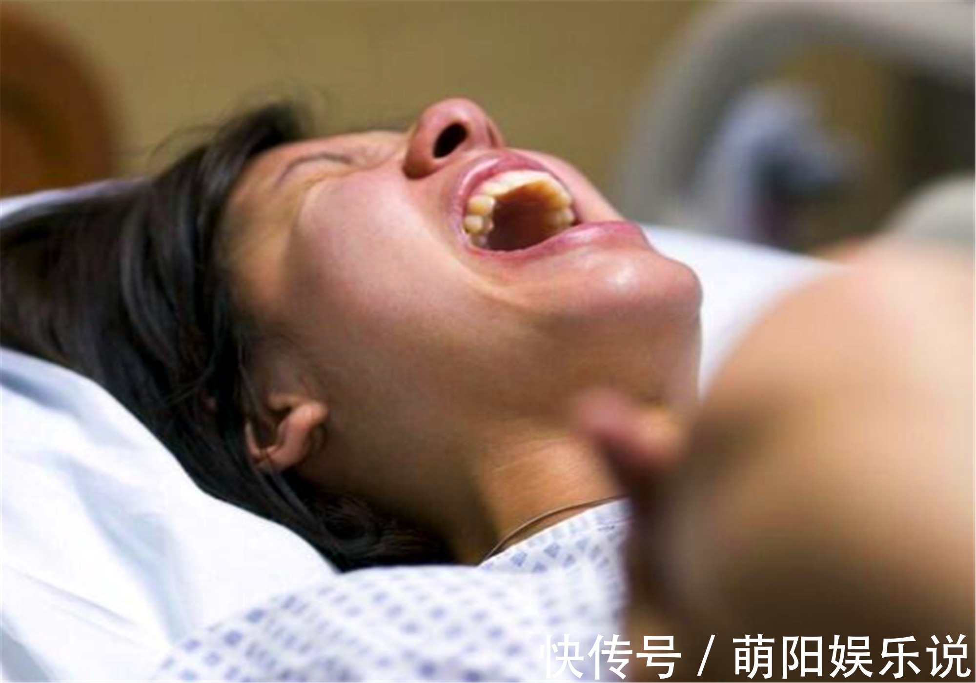 生育|为什么动物生育后代那么轻松,人类分娩时却疼得撕心裂肺?