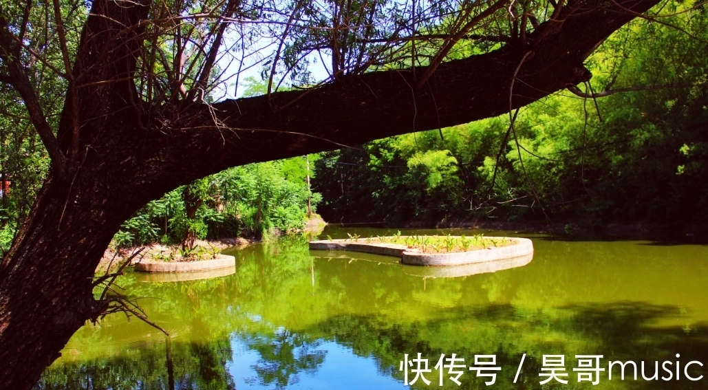 豫西|豫西一个小山村，建成两个4A级风景区，两个景区能用一张门票吗