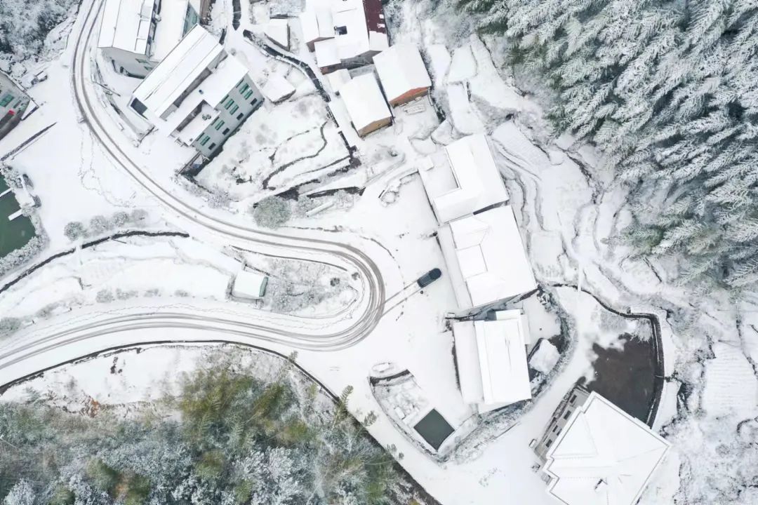 美成仙境|一场雪后 永康这条盘山公路美成仙境