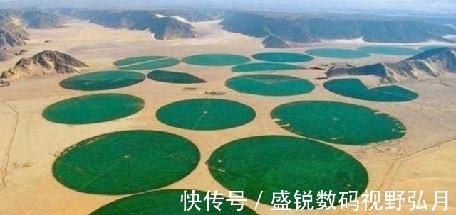 广东省公路建设有限公司请求锚杆钢筋焊接设备专利可以进步支架焊接过程中的安全性和精准度